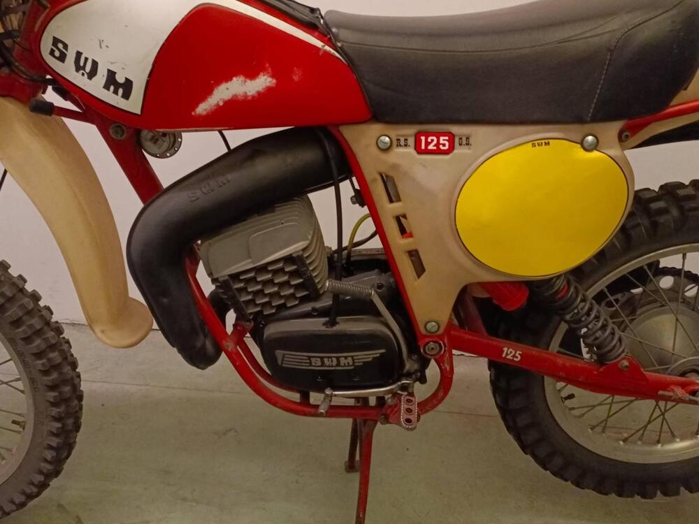 Swm RS 125 GS (2)