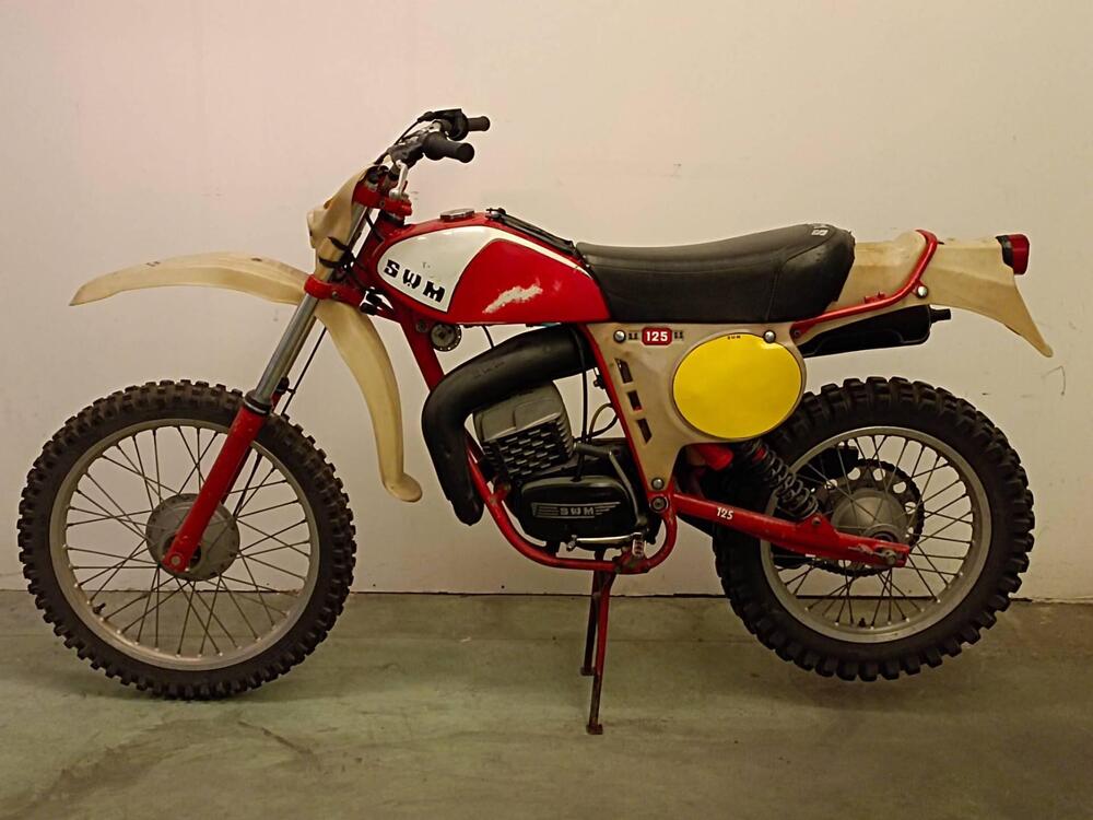 Swm RS 125 GS (6)