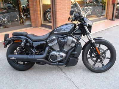 Harley-Davidson Nightster (2023 - 25) usata