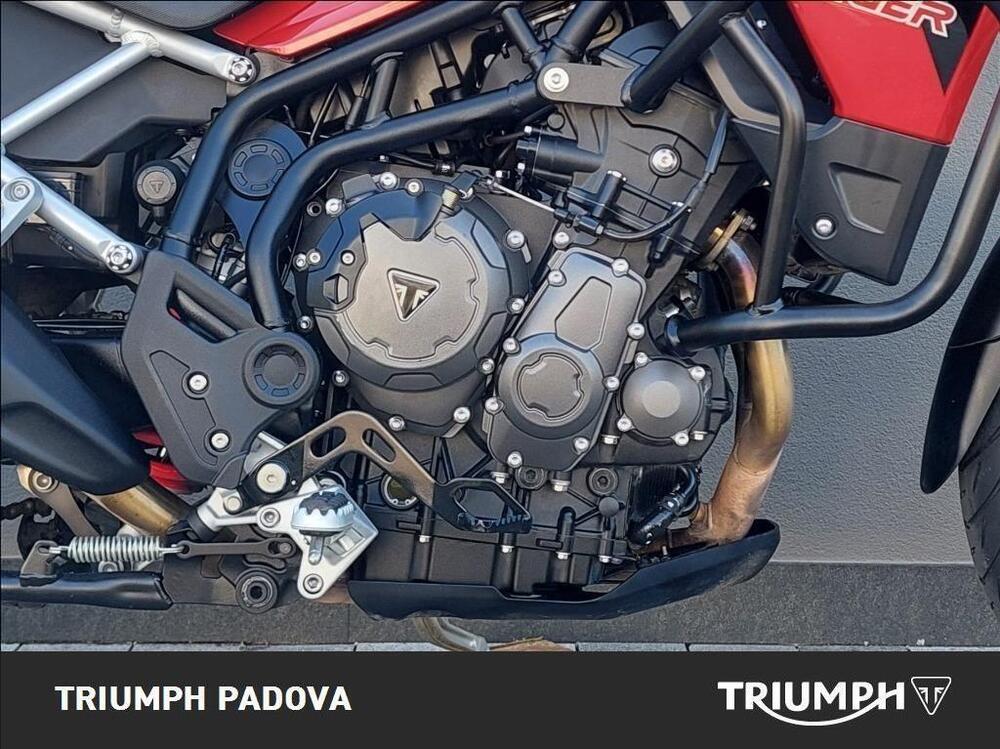 Triumph Tiger 900 GT Pro (2020 - 23) (3)