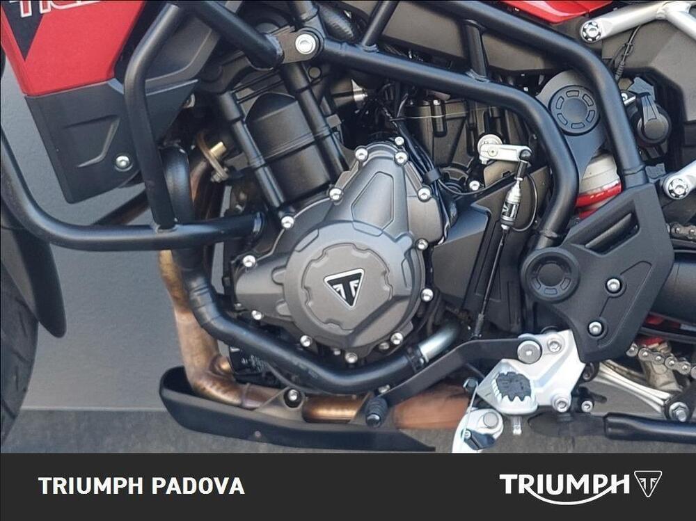 Triumph Tiger 900 GT Pro (2020 - 23) (8)