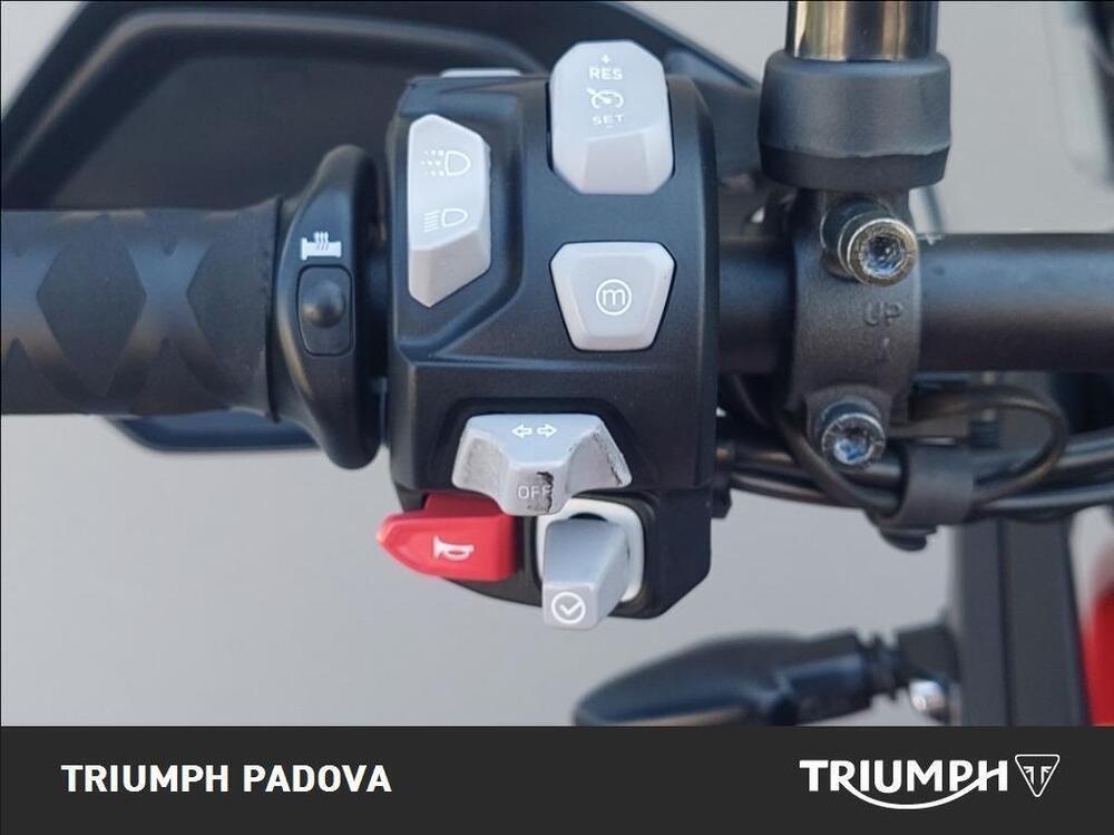 Triumph Tiger 900 GT Pro (2020 - 23) (12)