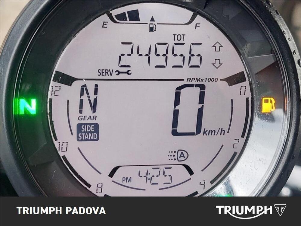 Ducati Scrambler 800 Icon Dark (2021 - 22) (13)