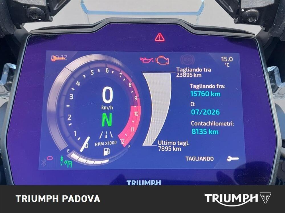 Triumph Tiger 1200 Rally Explorer (2022 - 23) (13)