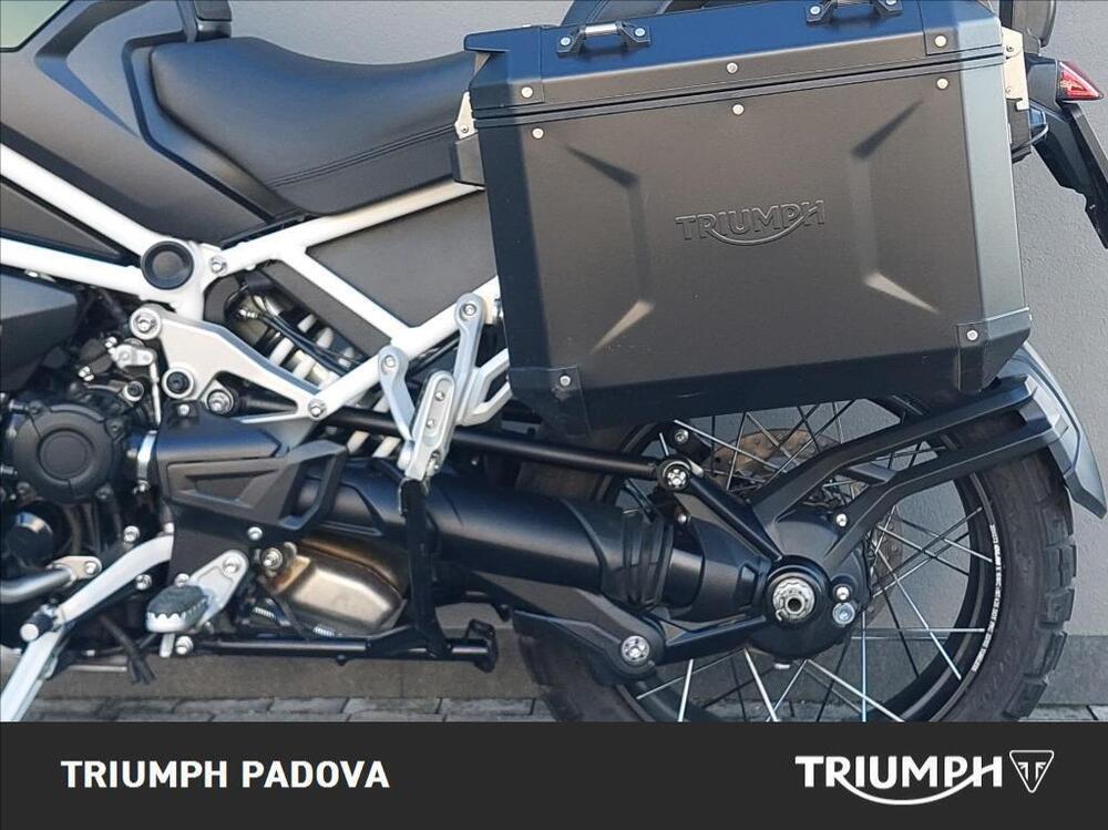 Triumph Tiger 1200 Rally Explorer (2022 - 23) (7)