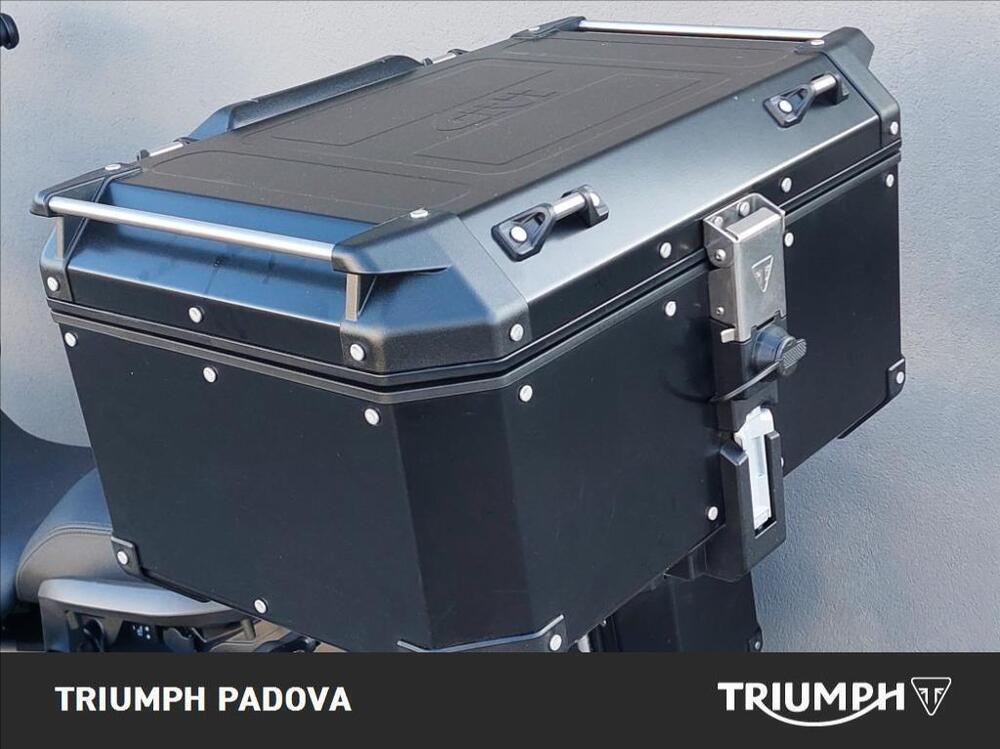 Triumph Tiger 1200 Rally Explorer (2022 - 23) (14)