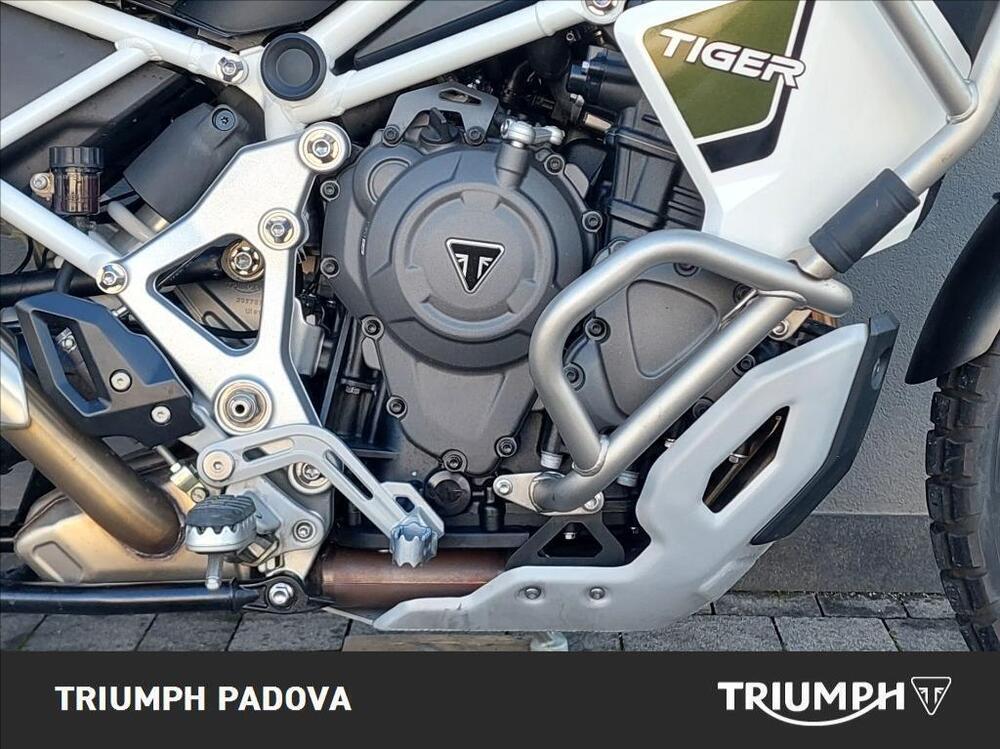 Triumph Tiger 1200 Rally Explorer (2022 - 23) (3)