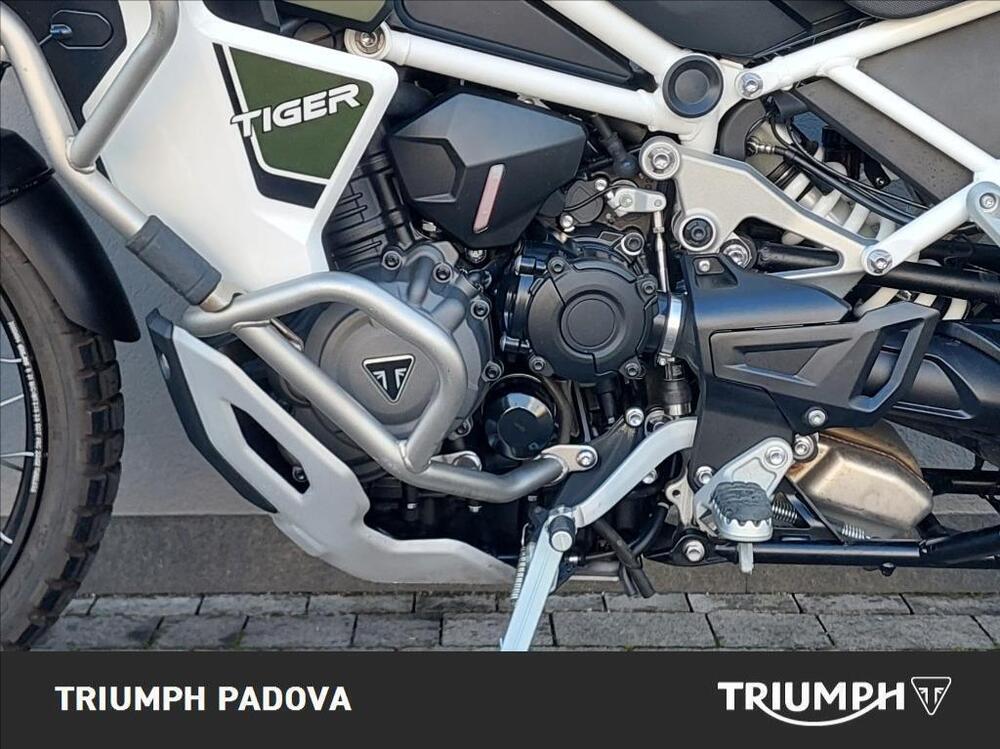 Triumph Tiger 1200 Rally Explorer (2022 - 23) (8)