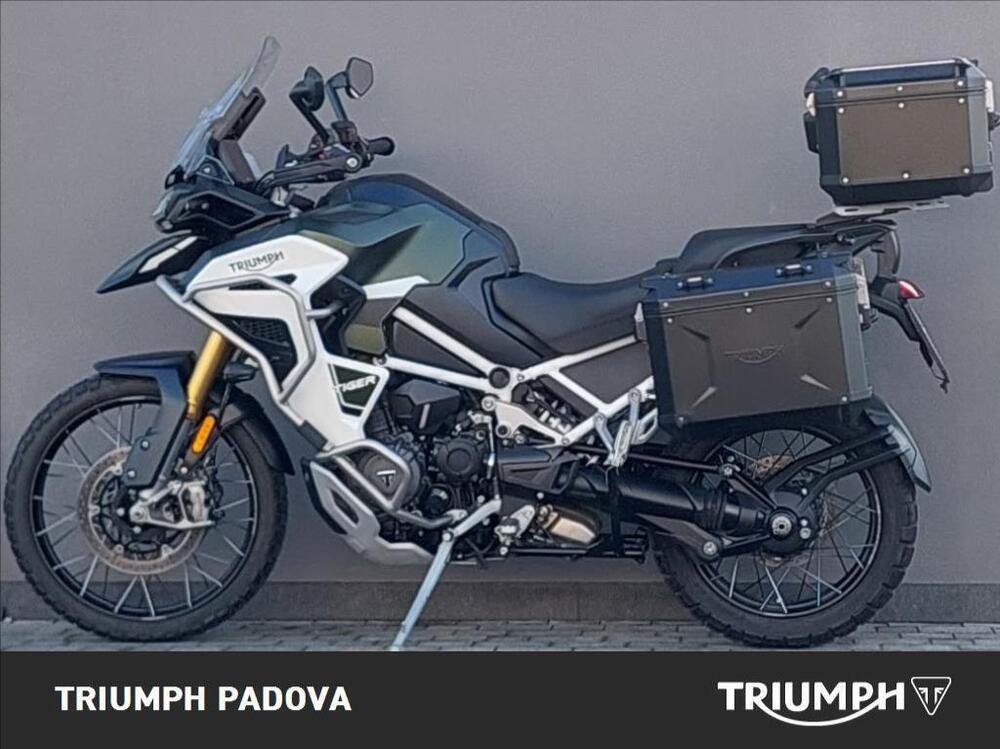 Triumph Tiger 1200 Rally Explorer (2022 - 23) (6)