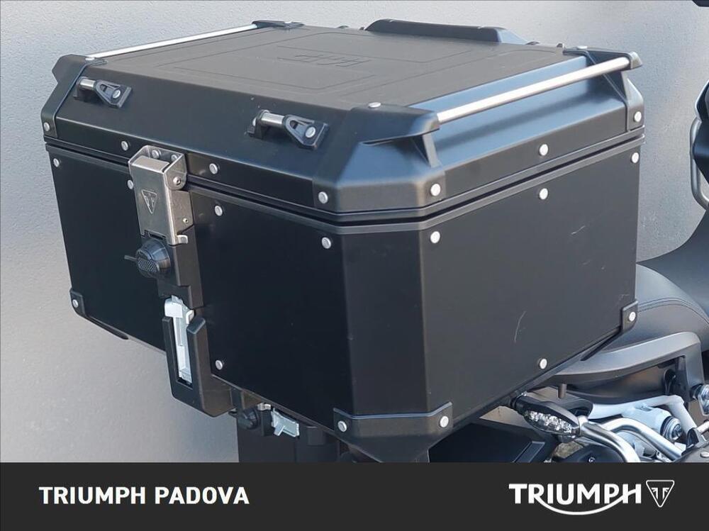Triumph Tiger 1200 Rally Explorer (2022 - 23) (15)