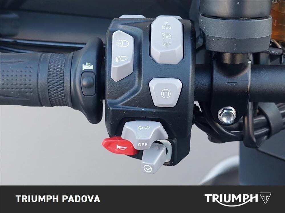 Triumph Tiger 1200 Rally Explorer (2022 - 23) (12)