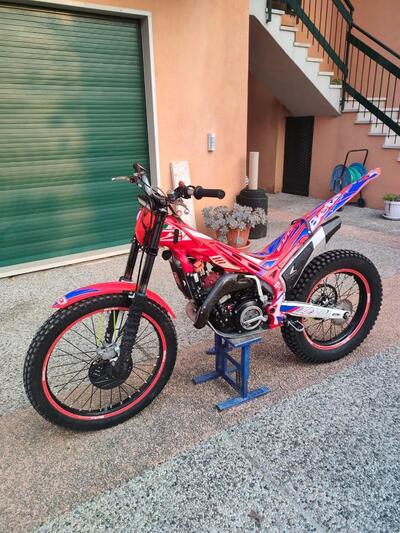 Betamotor Evo 300 2t Factory (2017) usata