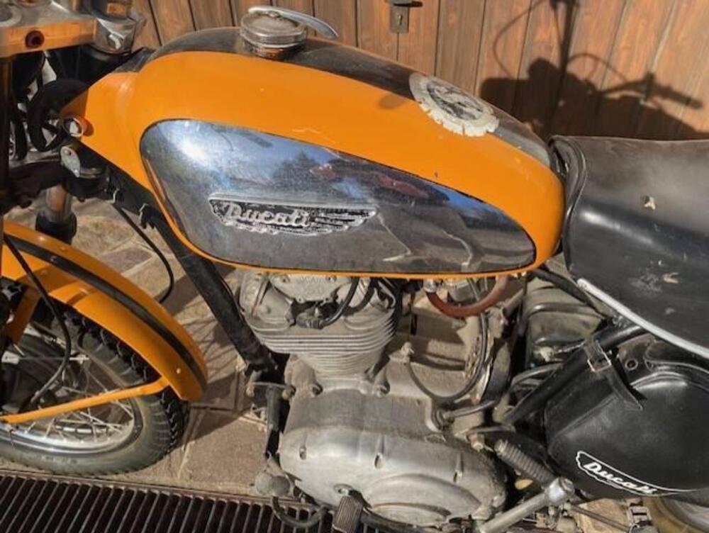 Ducati SCRAMBLER 250 (5)
