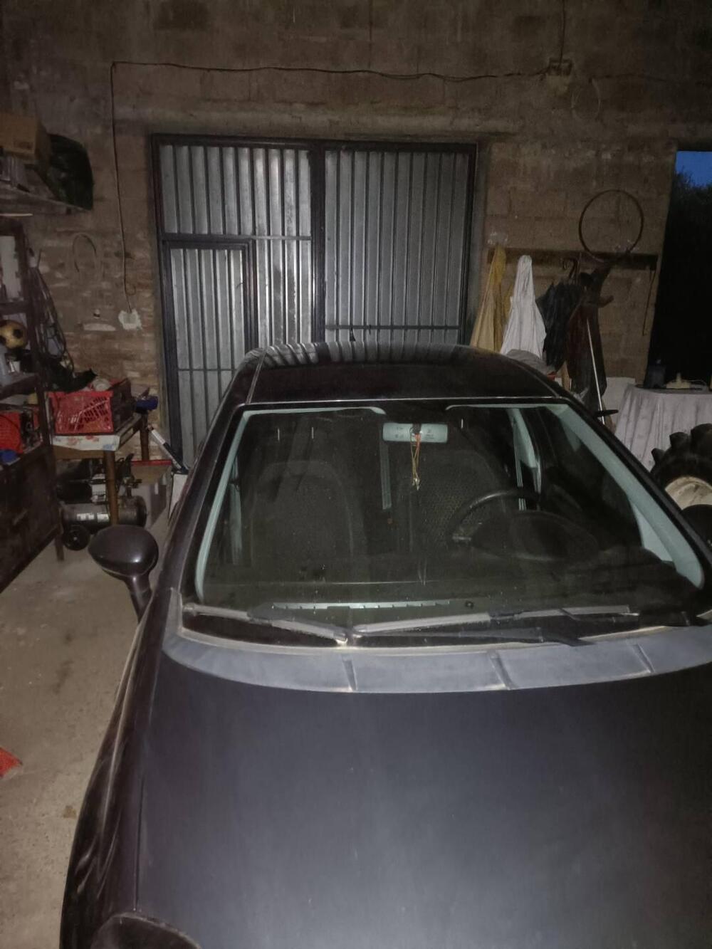 Fiat Punto usata a Perugia (3)