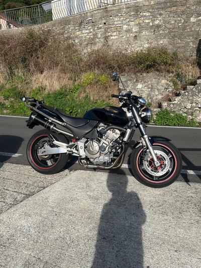 Honda Hornet 600 (2000 - 02) usata