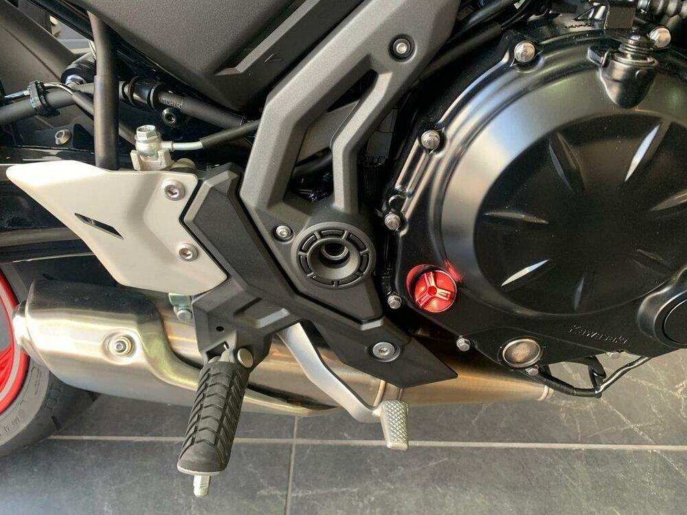 Kawasaki Z 650 50th Anniversary (2022 - 23) (13)