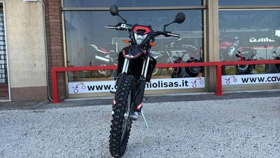 Betamotor RR 125 4T Enduro T (2025) nuova