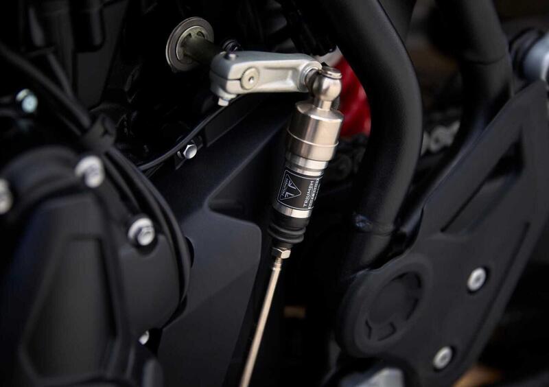 Triumph Tiger 900 Tiger 900 Alpine Special Edition (2026) (14)