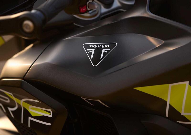 Triumph Tiger 1200 Tiger 1200 Desert Special Edition (2026) (9)