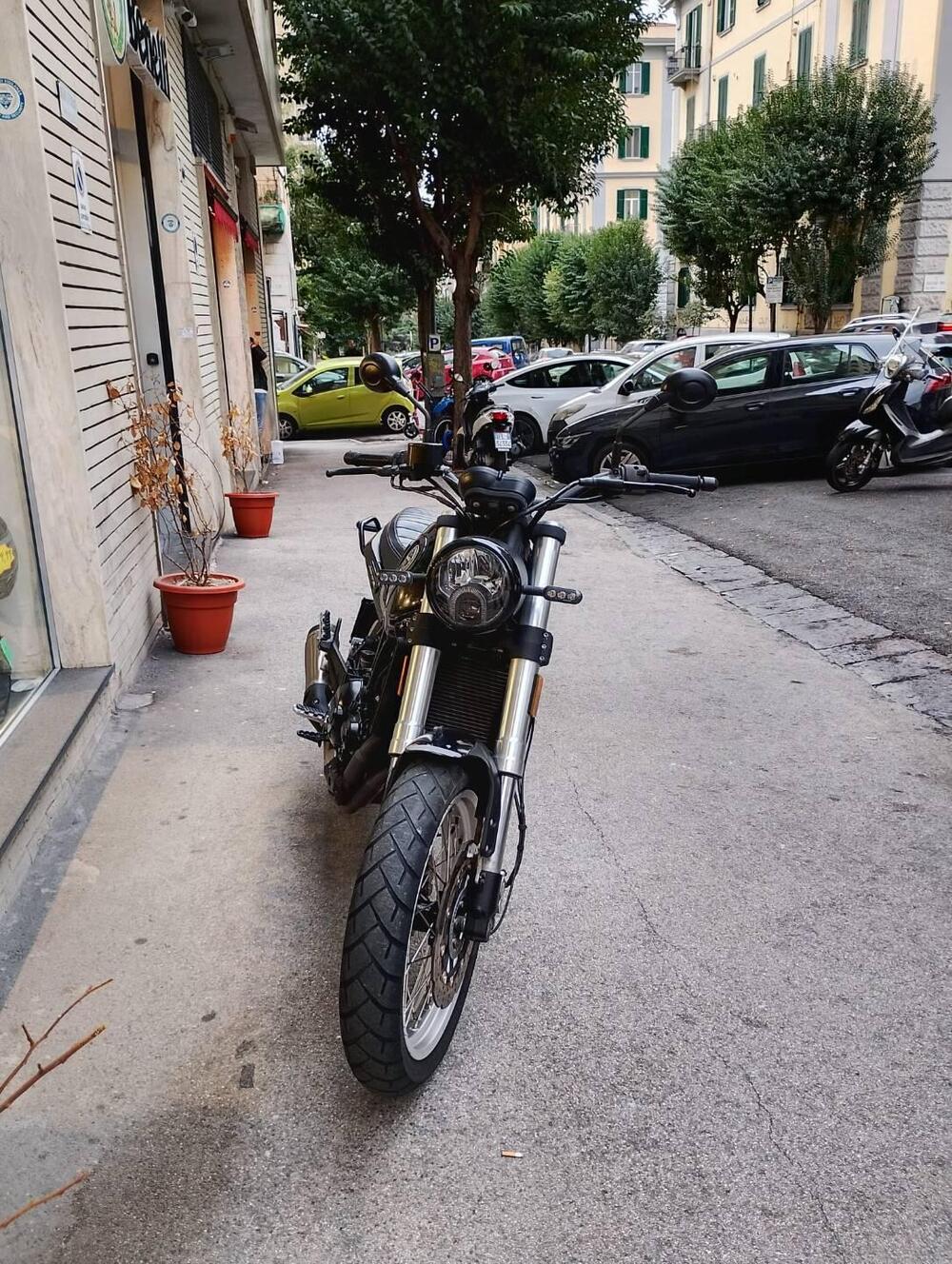 Benelli Leoncino 500 Trail (2021 - 26) (9)