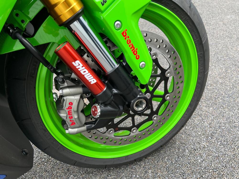 Kawasaki Ninja 1000 ZX-10R 40th Anniversary Edition (2024) (16)