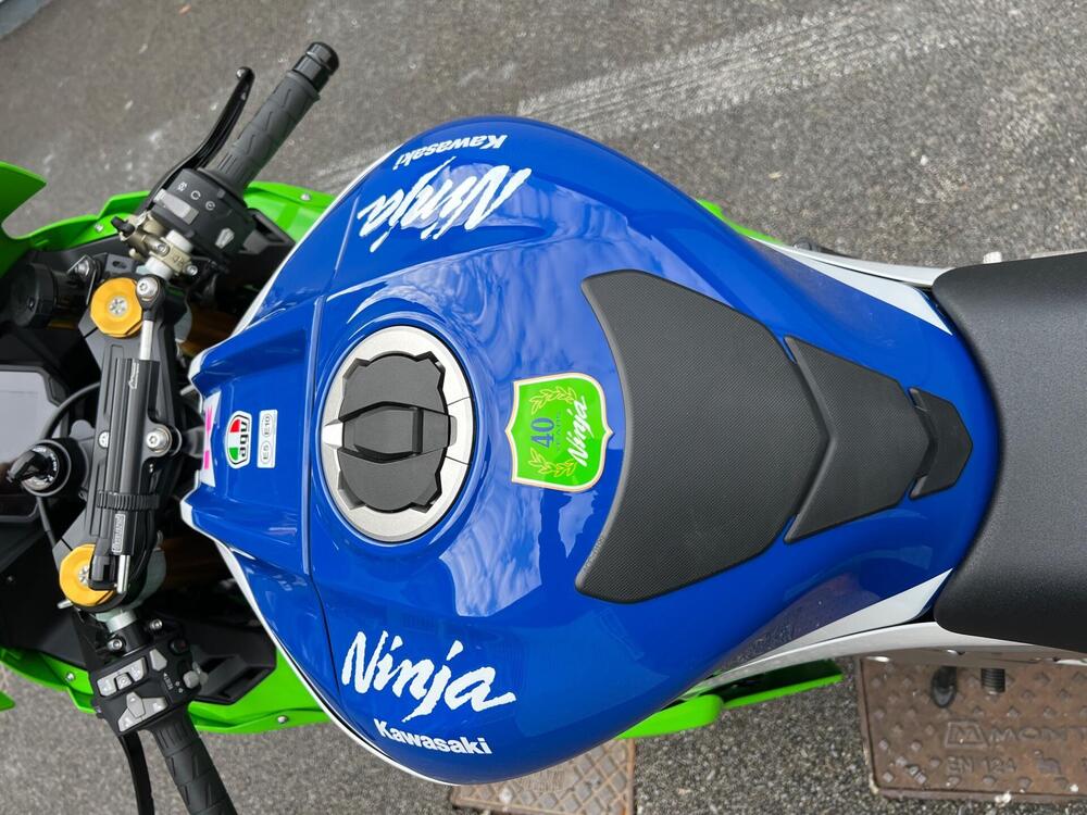 Kawasaki Ninja 1000 ZX-10R 40th Anniversary Edition (2024) (7)