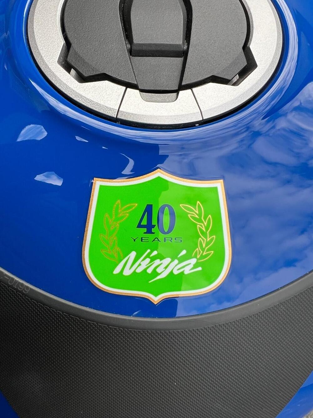 Kawasaki Ninja 1000 ZX-10R 40th Anniversary Edition (2024) (6)