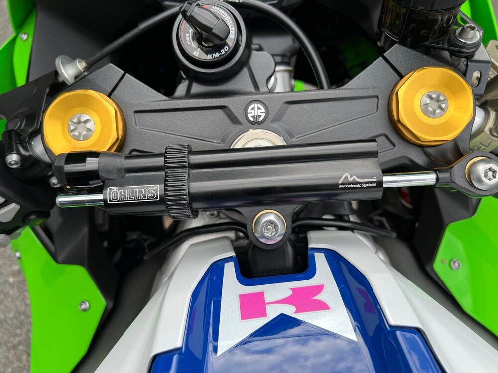 Kawasaki Ninja 1000 ZX-10R 40th Anniversary Edition (2024) (13)