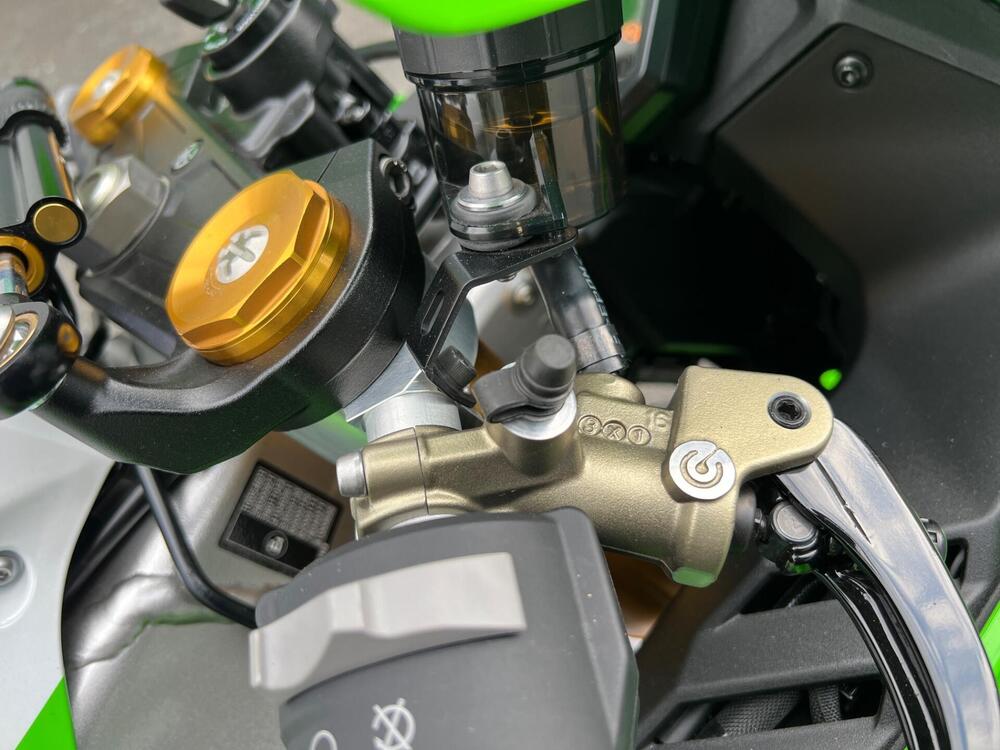 Kawasaki Ninja 1000 ZX-10R 40th Anniversary Edition (2024) (17)