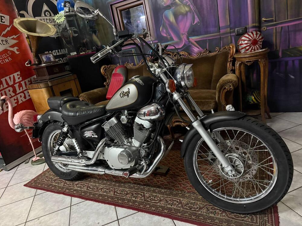 Yamaha XV 250 S Virago (1994 - 01) (4)