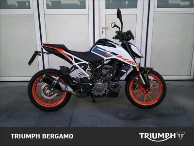 KTM 125 Duke (2024 - 26) usata