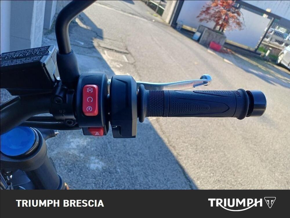 Triumph Trident 660 (2025) (9)