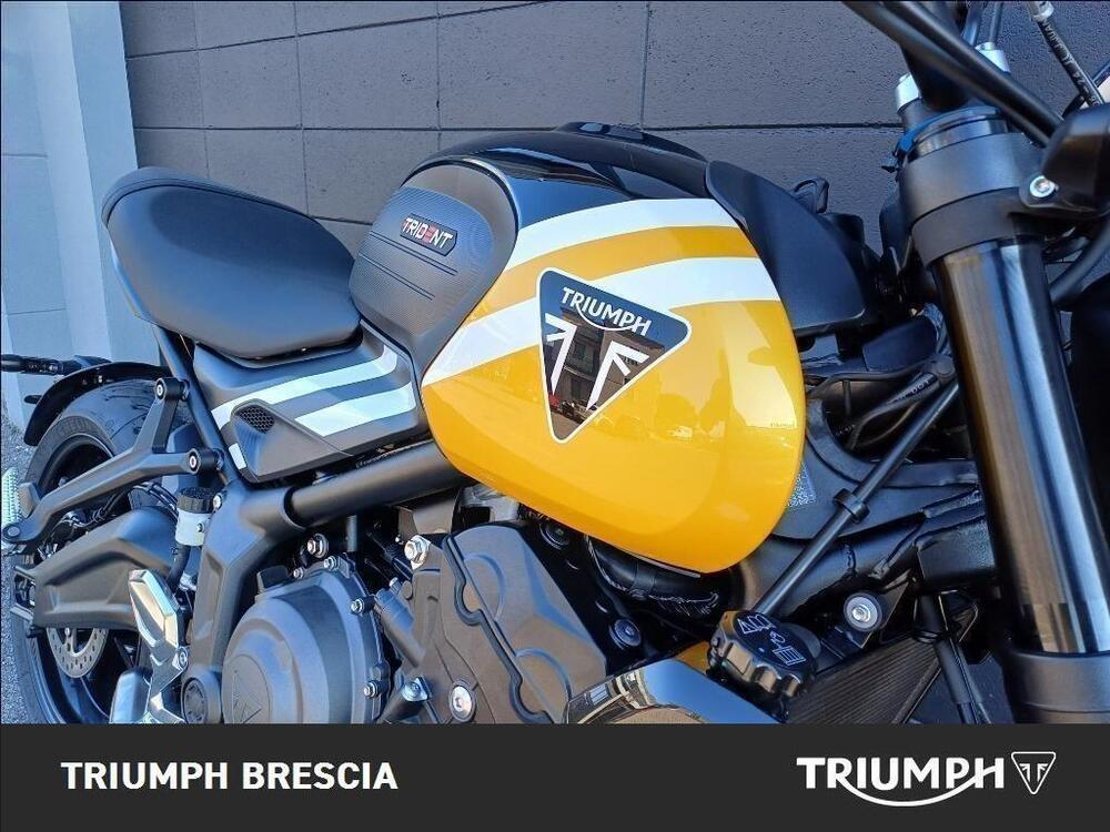 Triumph Trident 660 (2025) (4)