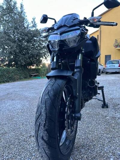 Kawasaki Z 650 (2021 - 24) usata