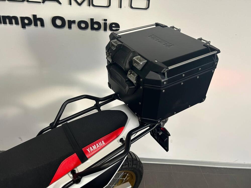 Yamaha Ténéré 700 Rally Edition (2022 - 24) (6)