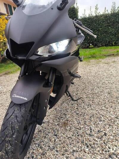 Yamaha YZF R3 (2021 - 24) usata