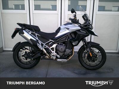 Triumph Tiger 1200 GT Pro (2024 - 25) usata