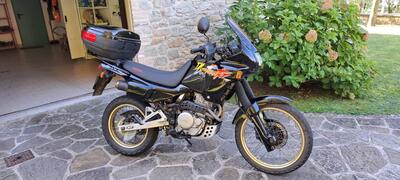 Honda NX 650 Dominator (1991 - 95) usata