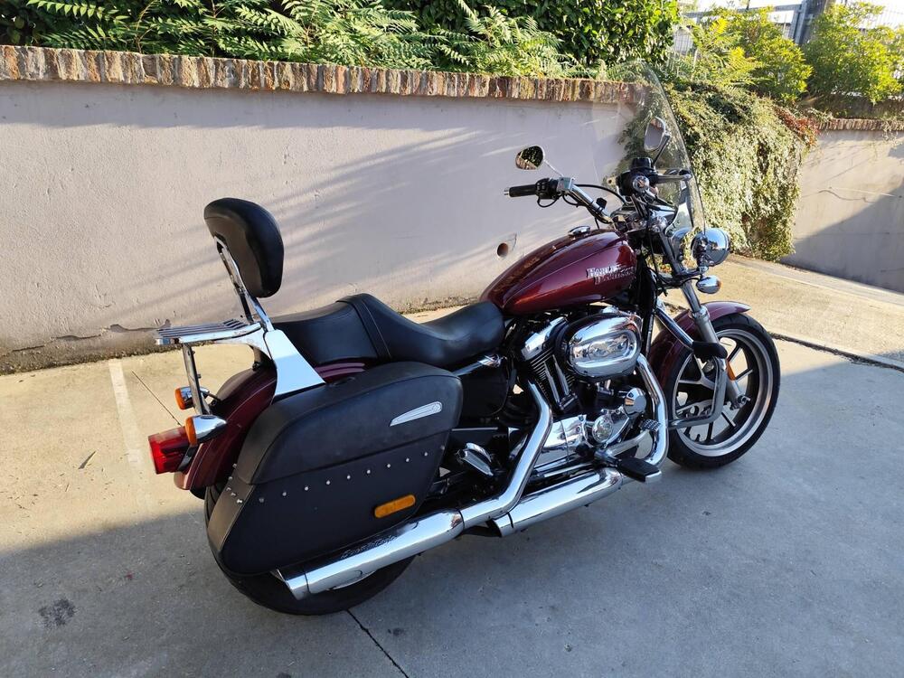 Harley-Davidson 1200 SuperLow (2014 - 16) - XL 1200T (4)