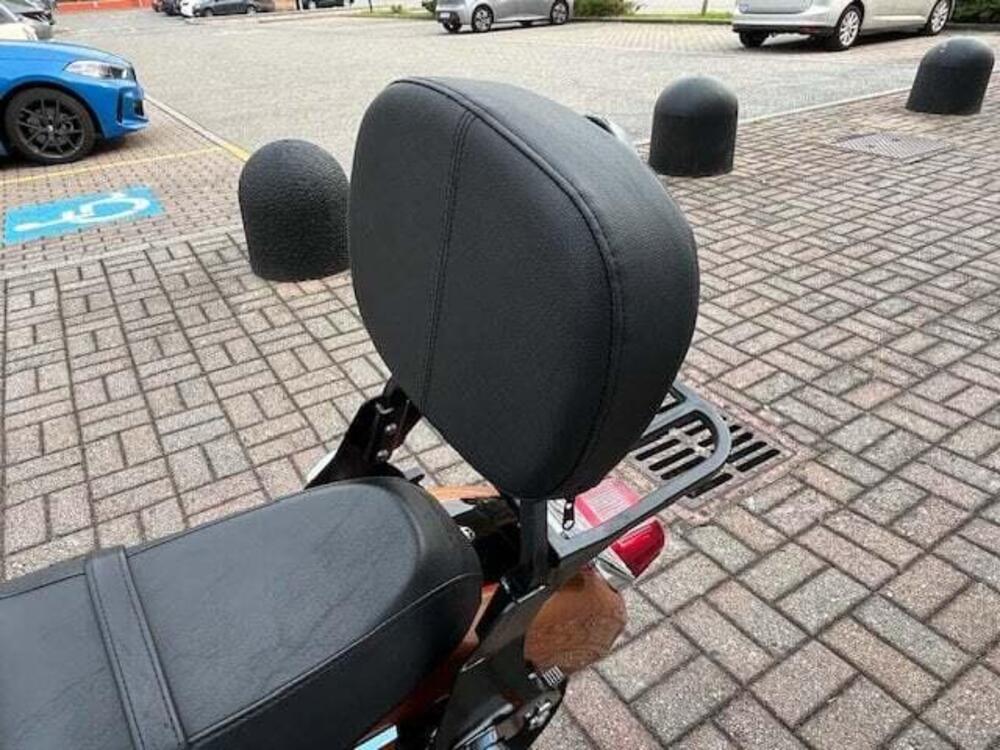 Harley-Davidson 1200 Low (2008 - 09) - XL 1200L (9)