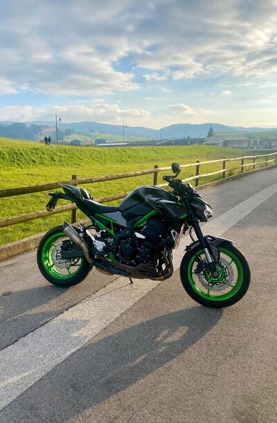 Kawasaki Z 900 (2021 - 24) usata