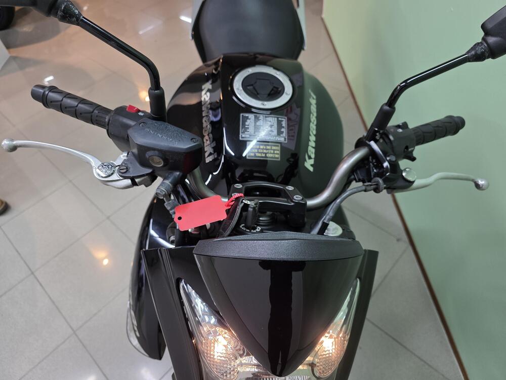 Kawasaki ER-6N (2006 - 09) (12)