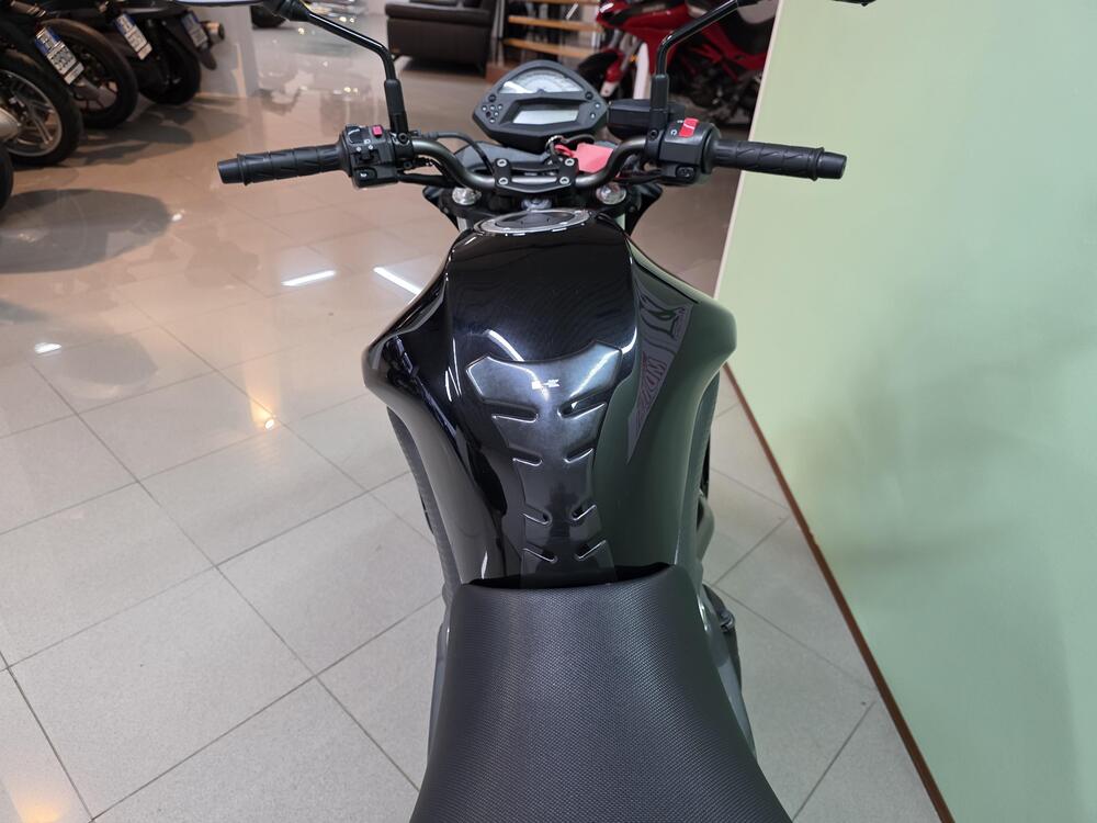 Kawasaki ER-6N (2006 - 09) (16)