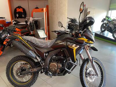 Voge Valico 300 Rally (2022 - 25) nuova