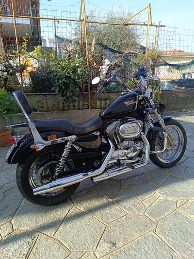 Harley-Davidson 883 (2008 - 09) - XL usata