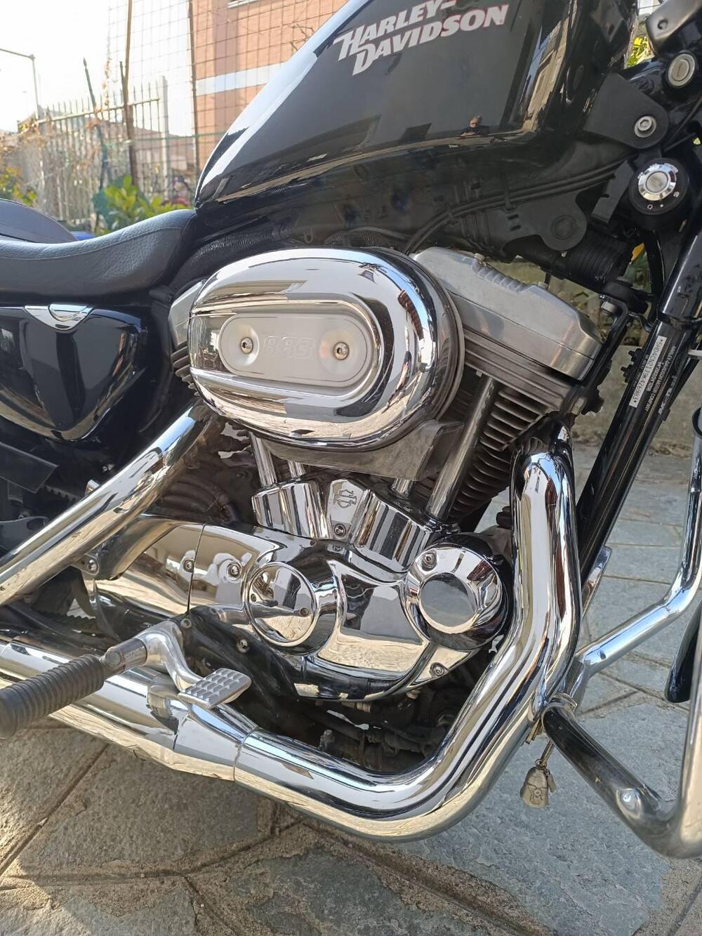 Harley-Davidson 883 (2008 - 09) - XL (3)