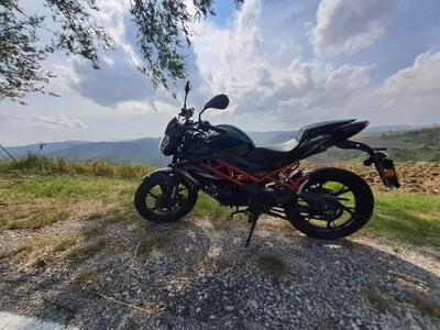 Benelli BN 125 (2021 - 25) usata