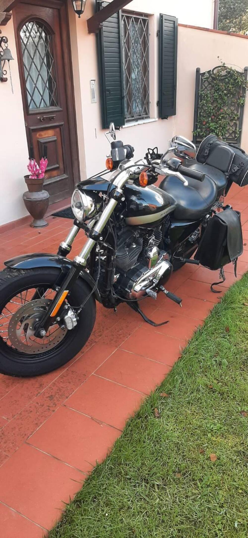 Harley-Davidson 1200 Custom (2017) - XL 1200C (8)