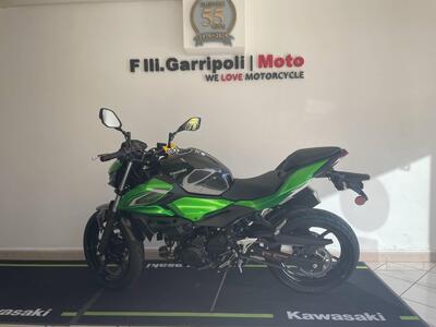 Kawasaki Z 500 (2024 - 26) nuova