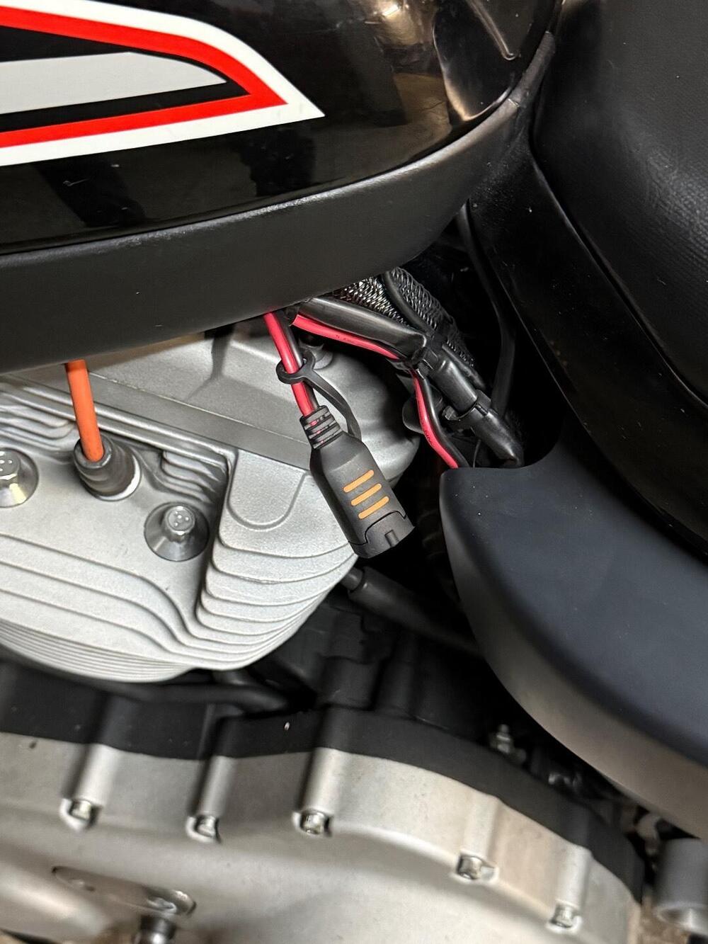 Harley-Davidson 1200 XR (2009 - 12) (11)